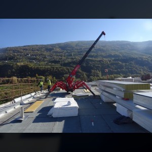 Spider crane 8.8m