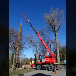 Crawler crane 24m