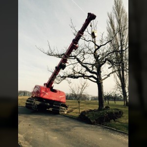Crawler crane 20m