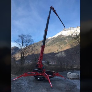 Grue araignée 16m